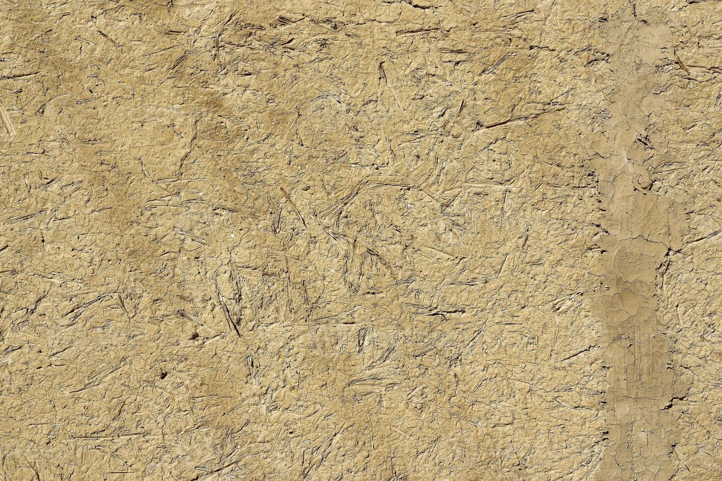 Texture of dry cracked clay. The concept of drought, global warming and climate change. photo