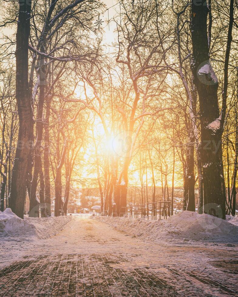 Sunset or dawn in a winter city park with trees, benches and sidewalks covered with snow and ice. Vintage film aesthetic. photo