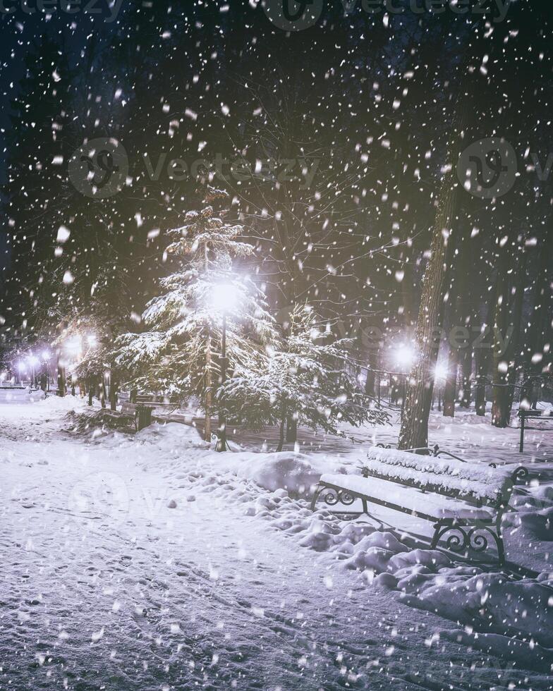 Snowfall in a winter park at night with glowing lanterns, pavement covered with snow and trees. Vintage film aesthetic. photo