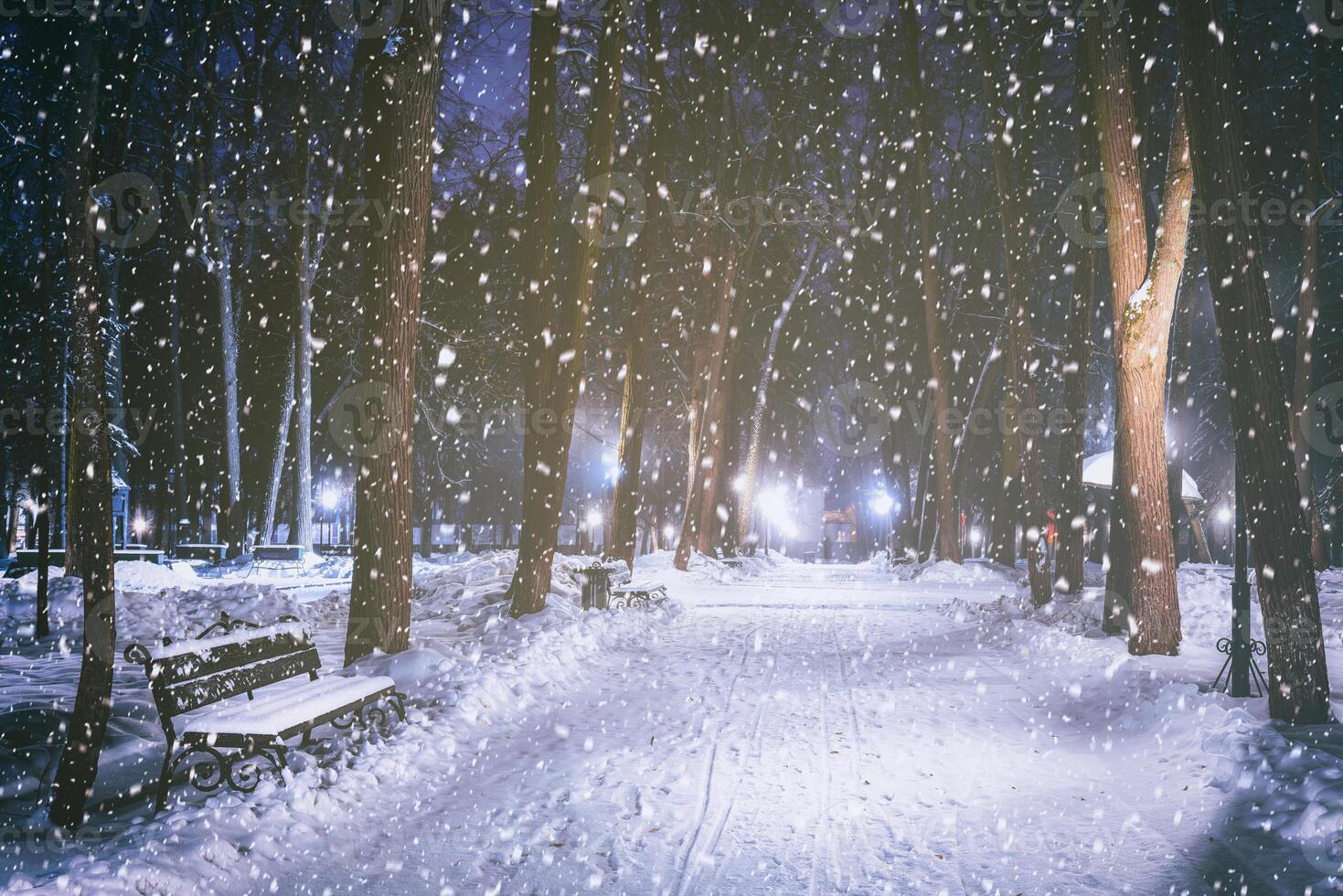 Snowfall in a winter park at night with glowing lanterns, pavement covered with snow and trees. Vintage film aesthetic. photo