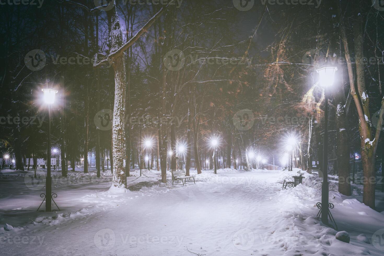 Winter night park with trees, glowing lanterns and benches covered with snow. Vintage film aesthetic. photo