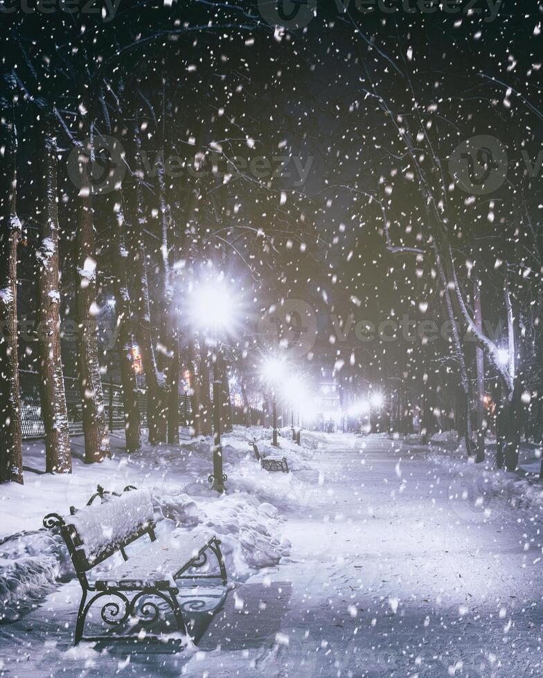 Snowfall in a winter park at night with glowing lanterns, pavement covered with snow and trees. Vintage film aesthetic. photo