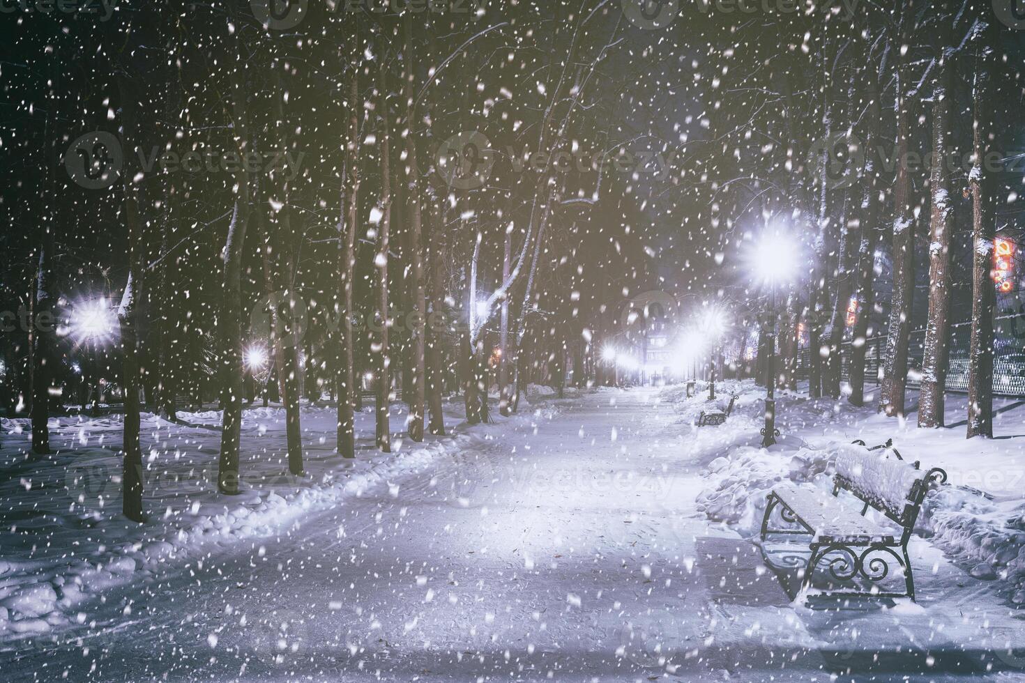 Snowfall in a winter park at night with glowing lanterns, pavement covered with snow and trees. Vintage film aesthetic. photo