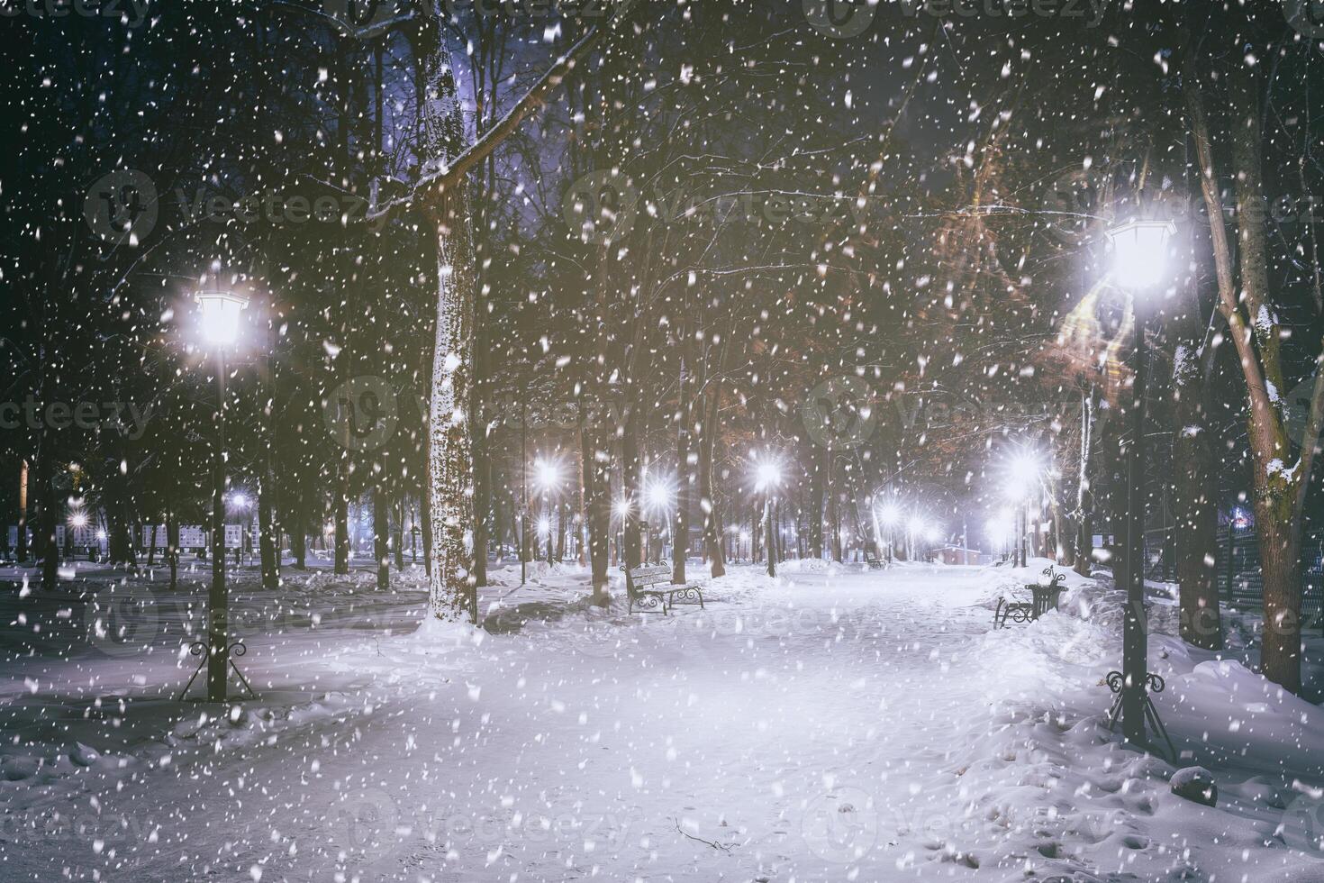 Snowfall in a winter park at night with glowing lanterns, pavement covered with snow and trees. Vintage film aesthetic. photo