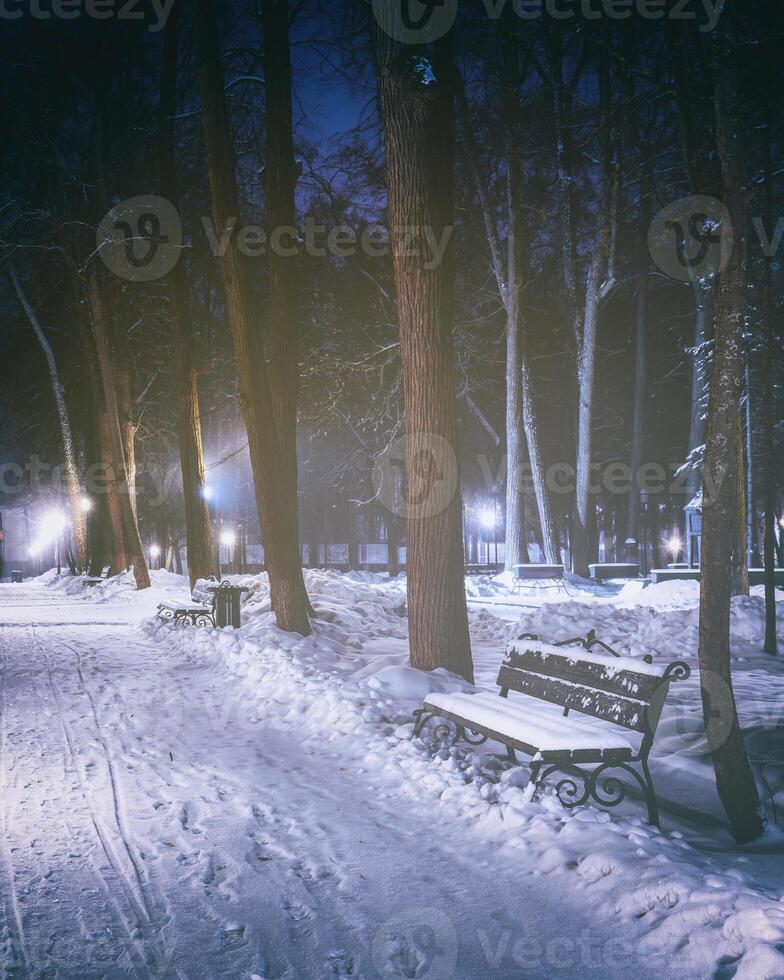 Winter night park with trees, glowing lanterns and benches covered with snow. Vintage film aesthetic. photo