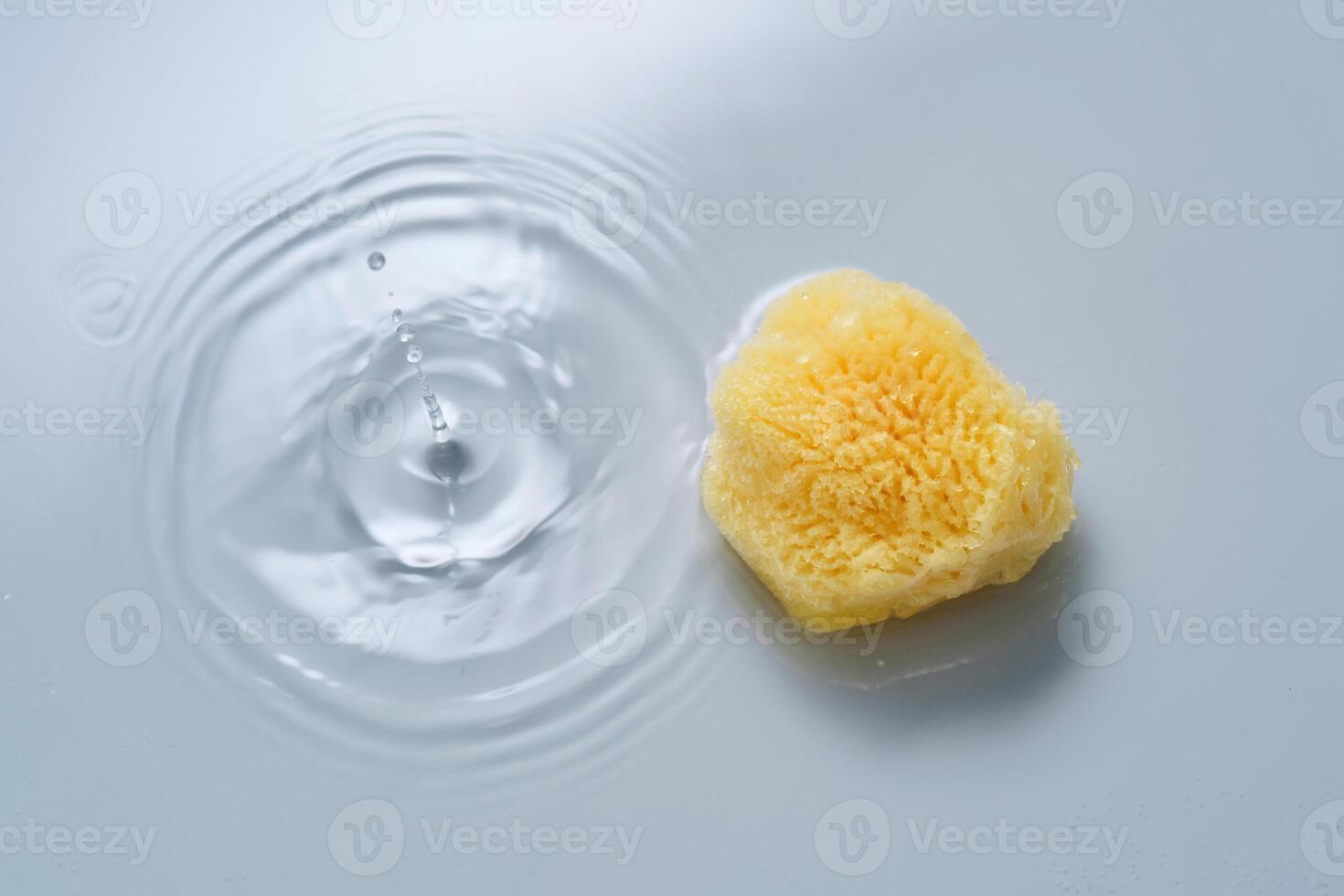 Natural sponge on a blue background with water. photo