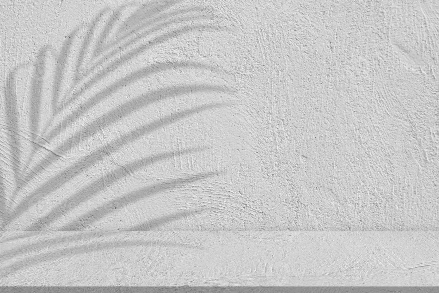 Background White Wall Studio with palm leaves Shadow, light on Cement floor Surface Texture,Empty Grey Concrete Room with Podium DisplayTop Shelf Bar,Empty Backdrop for Summer product sale,Present photo
