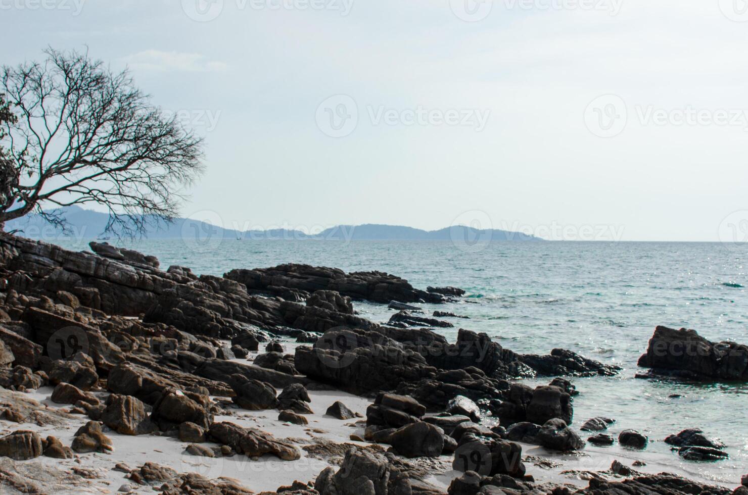 Beautiful views on the island in Phuket photo