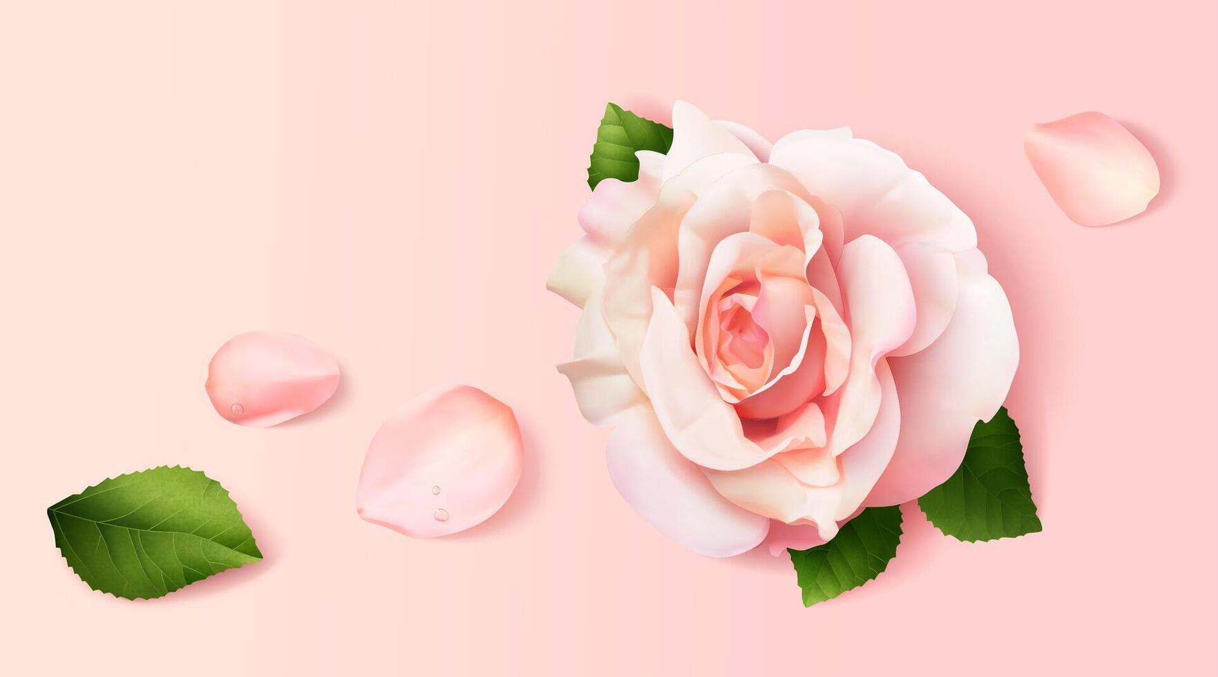 Realistic pink roses and petals on pink background in 3d illustration, top view. vector