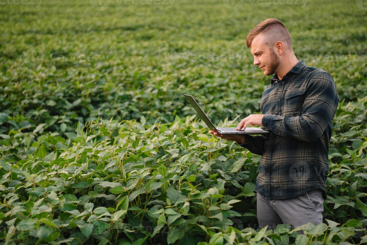 Young agronomist holds tablet touch pad computer in the soy field and examining crops before harvesting. Agribusiness concept. agricultural engineer standing in a soy field with a tablet in summer. photo