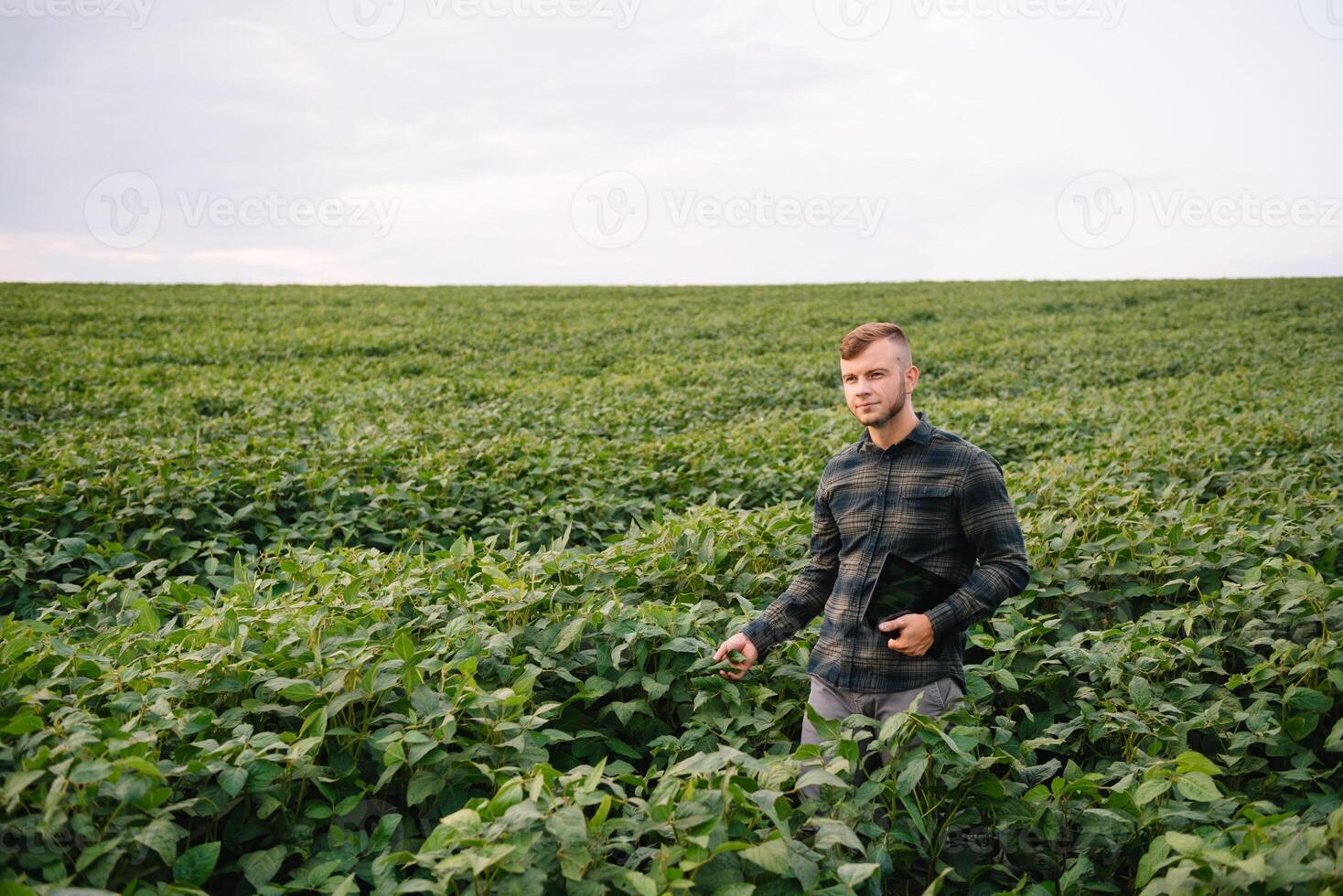 agrónomo inspeccionando soja frijol cultivos creciente en el granja campo. agricultura producción concepto. agronegocios concepto. agrícola ingeniero en pie en un soja campo foto