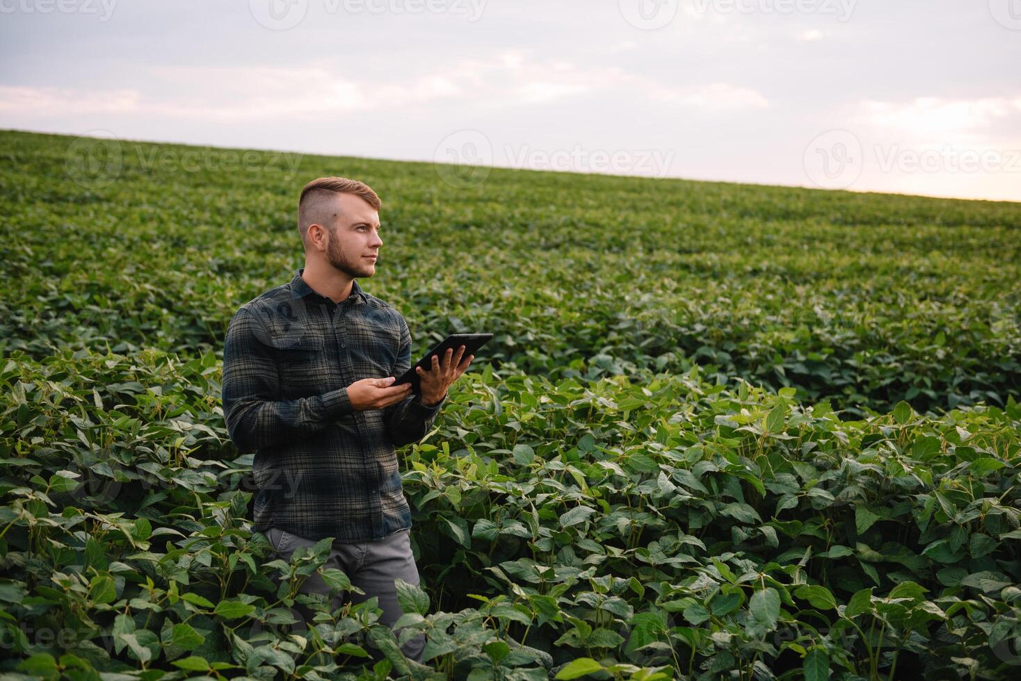 joven agrónomo sostiene tableta toque almohadilla computadora en el soja campo y examinando cultivos antes de cosecha. agronegocios concepto. agrícola ingeniero en pie en un soja campo con un tableta en verano. foto