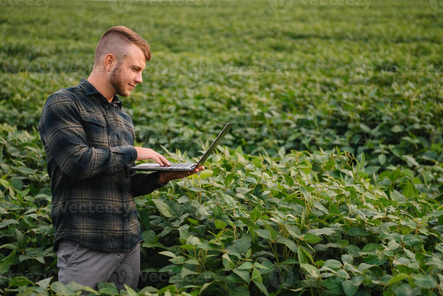 Young agronomist holds tablet touch pad computer in the soy field and examining crops before harvesting. Agribusiness concept. agricultural engineer standing in a soy field with a tablet in summer. photo