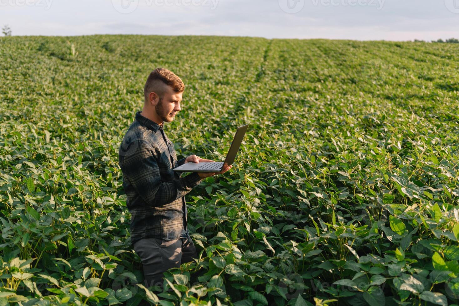 Young agronomist holds tablet touch pad computer in the soy field and examining crops before harvesting. Agribusiness concept. agricultural engineer standing in a soy field with a tablet in summer. photo