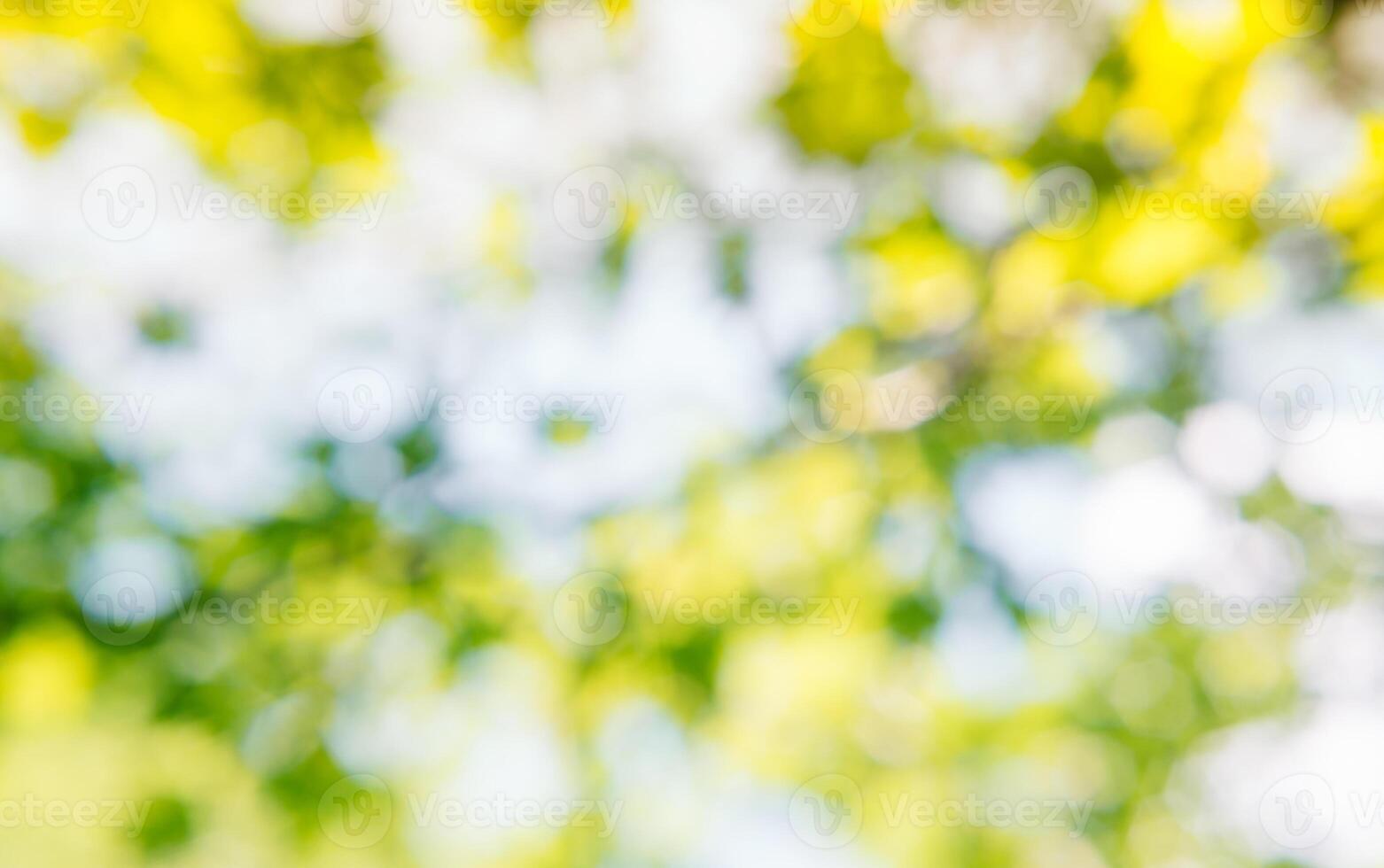 Spring or summer and abstract nature background with grass field. Background with green grass field and bokeh light. summer background. photo