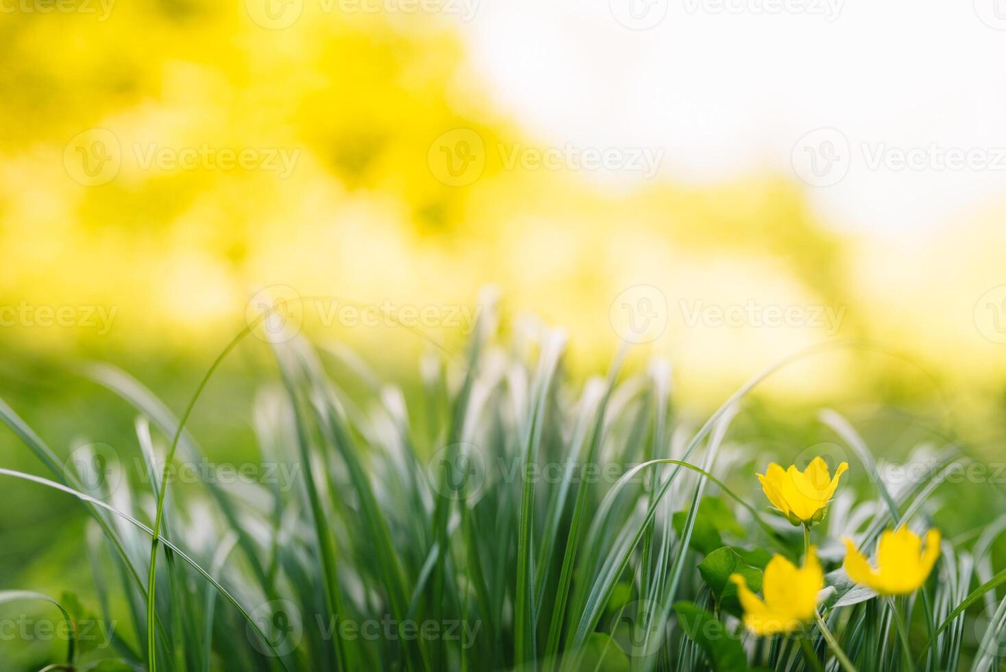 Simple Spring Stock Photos, Images and Backgrounds for Free Download
