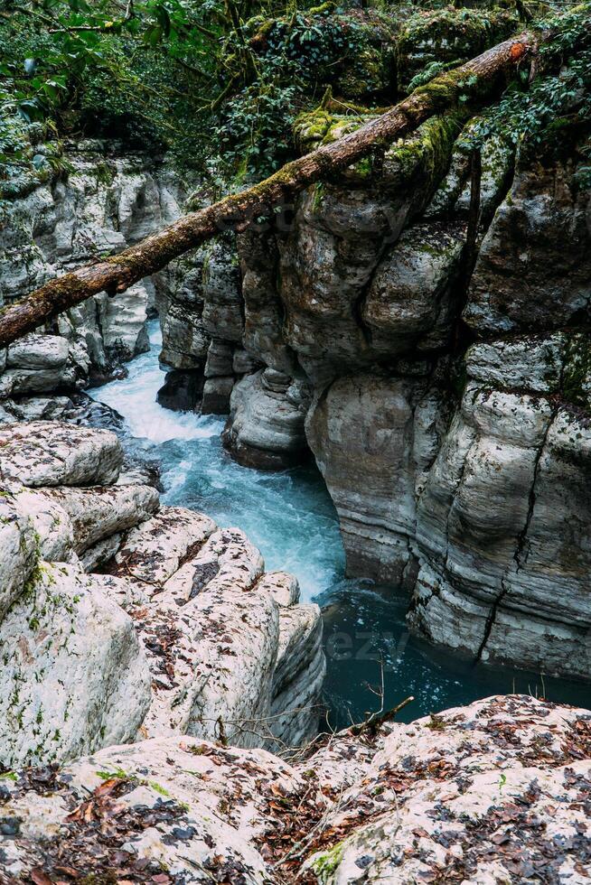 White Rock Canyon Jungle and Mountain Forest Hiking, Khosta River Along Cliffs photo