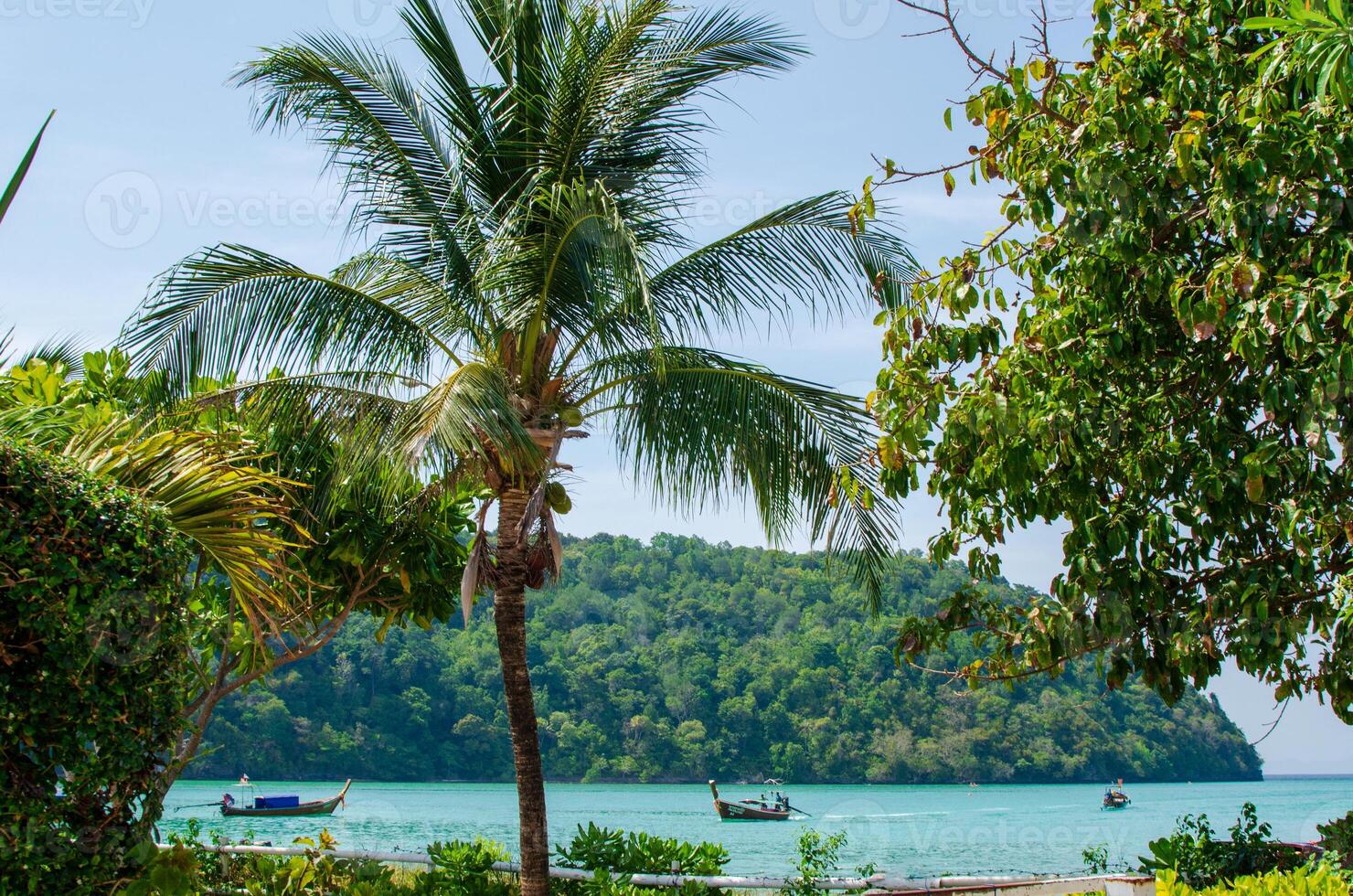 Beautiful photo of palm trees and sea view