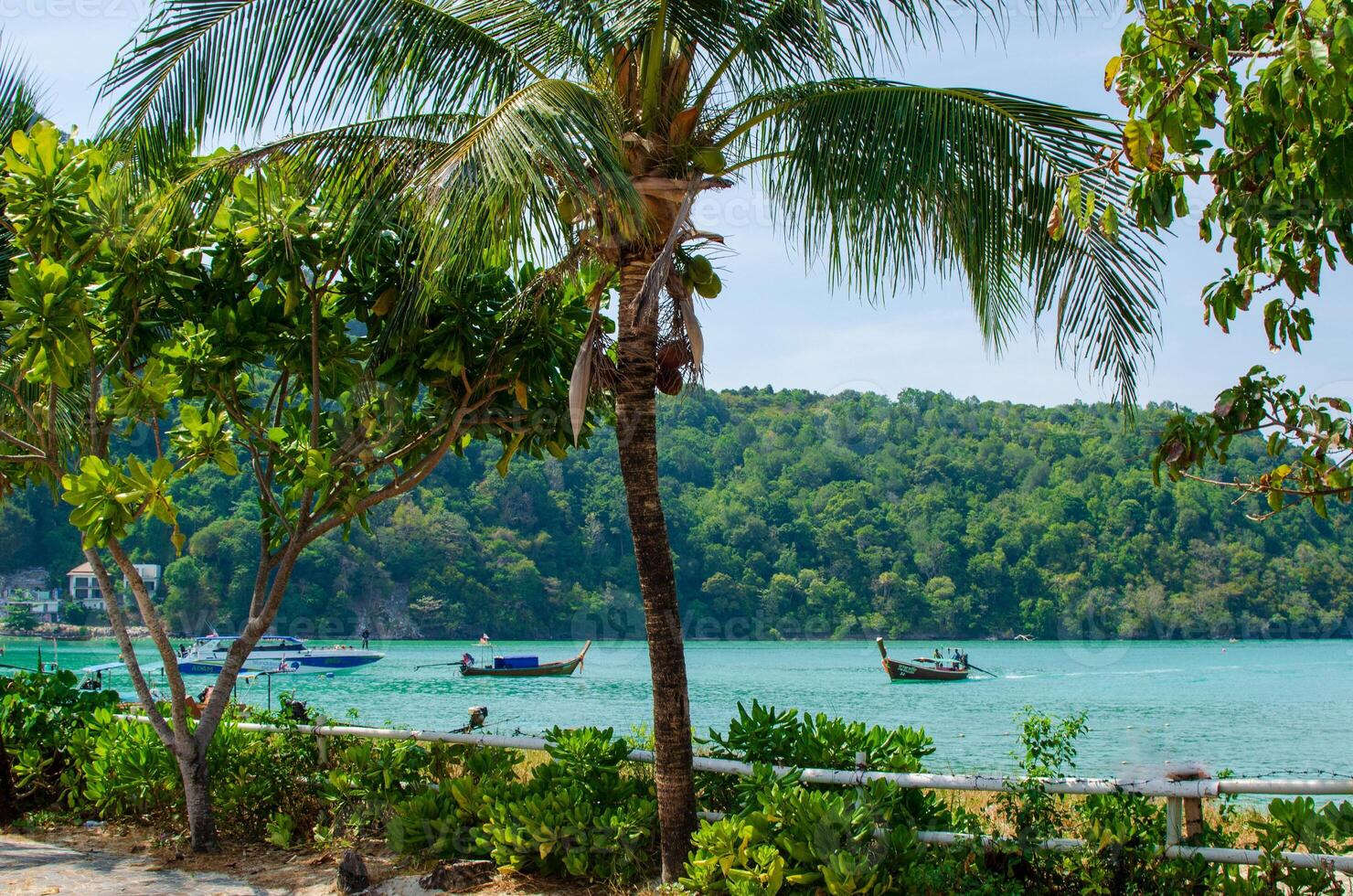 Beautiful photo of palm trees and sea view