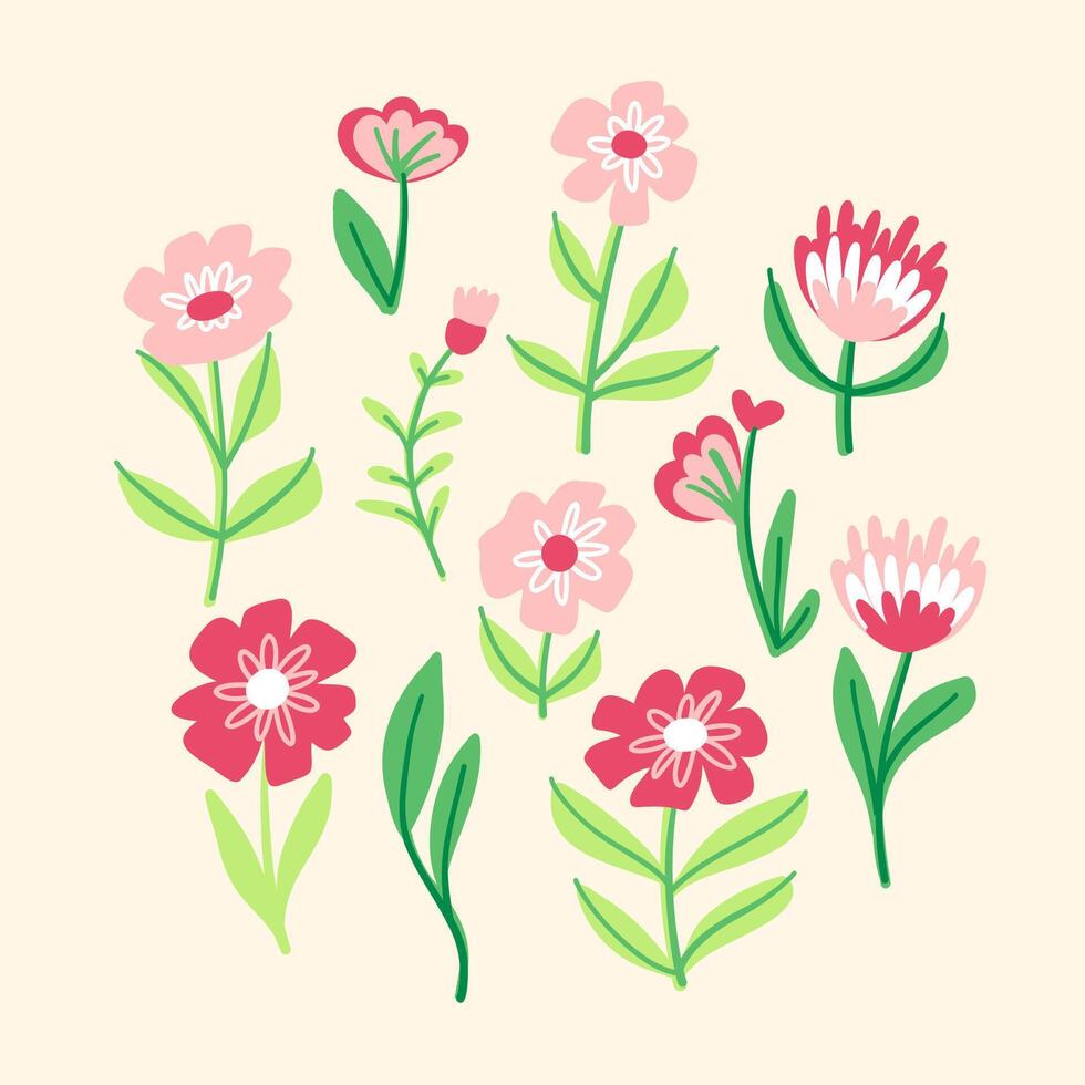 Spring and summer flower collection, with leaves, floral bouquets, wildflower vector