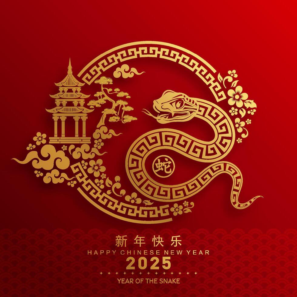 contento chino nuevo año 2025 el serpiente zodíaco firmar con flor,linterna,asiática elementos rojo papel cortar estilo en color antecedentes. vector