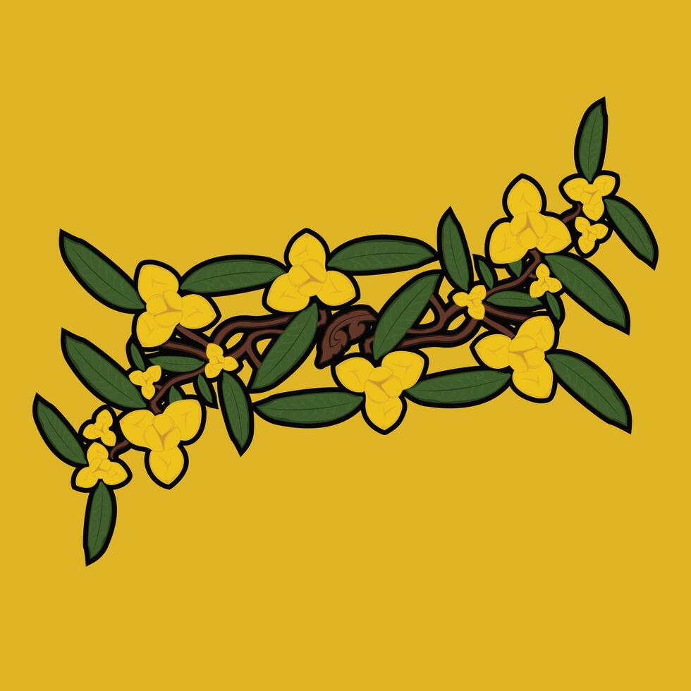 Pka Romdoul Flower vector