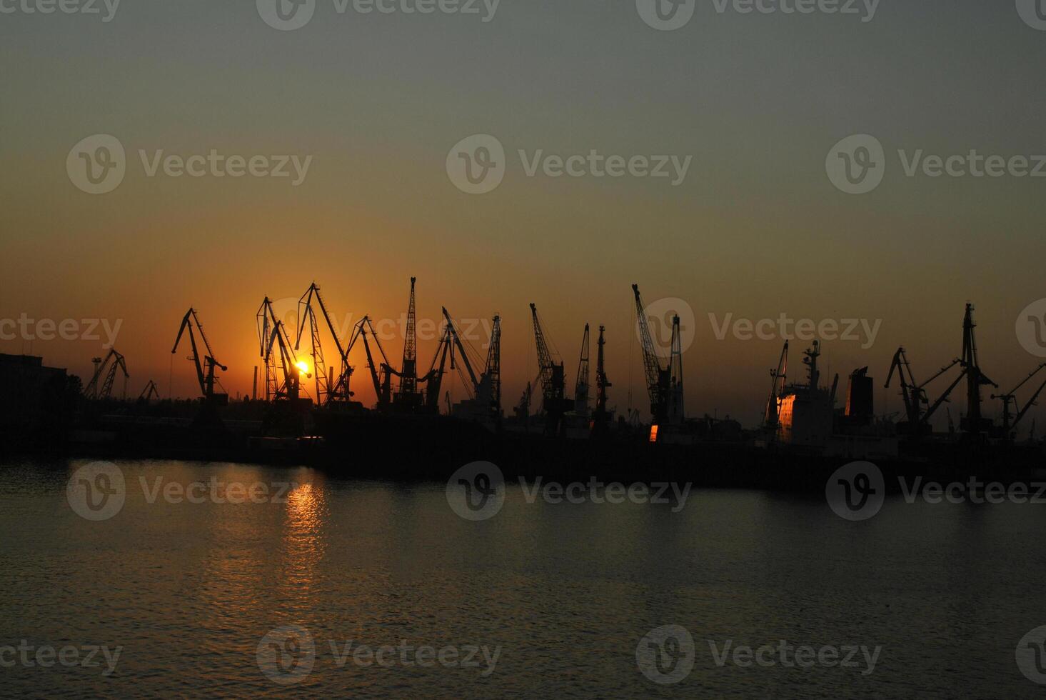 cargo cranes in the seaport. photo