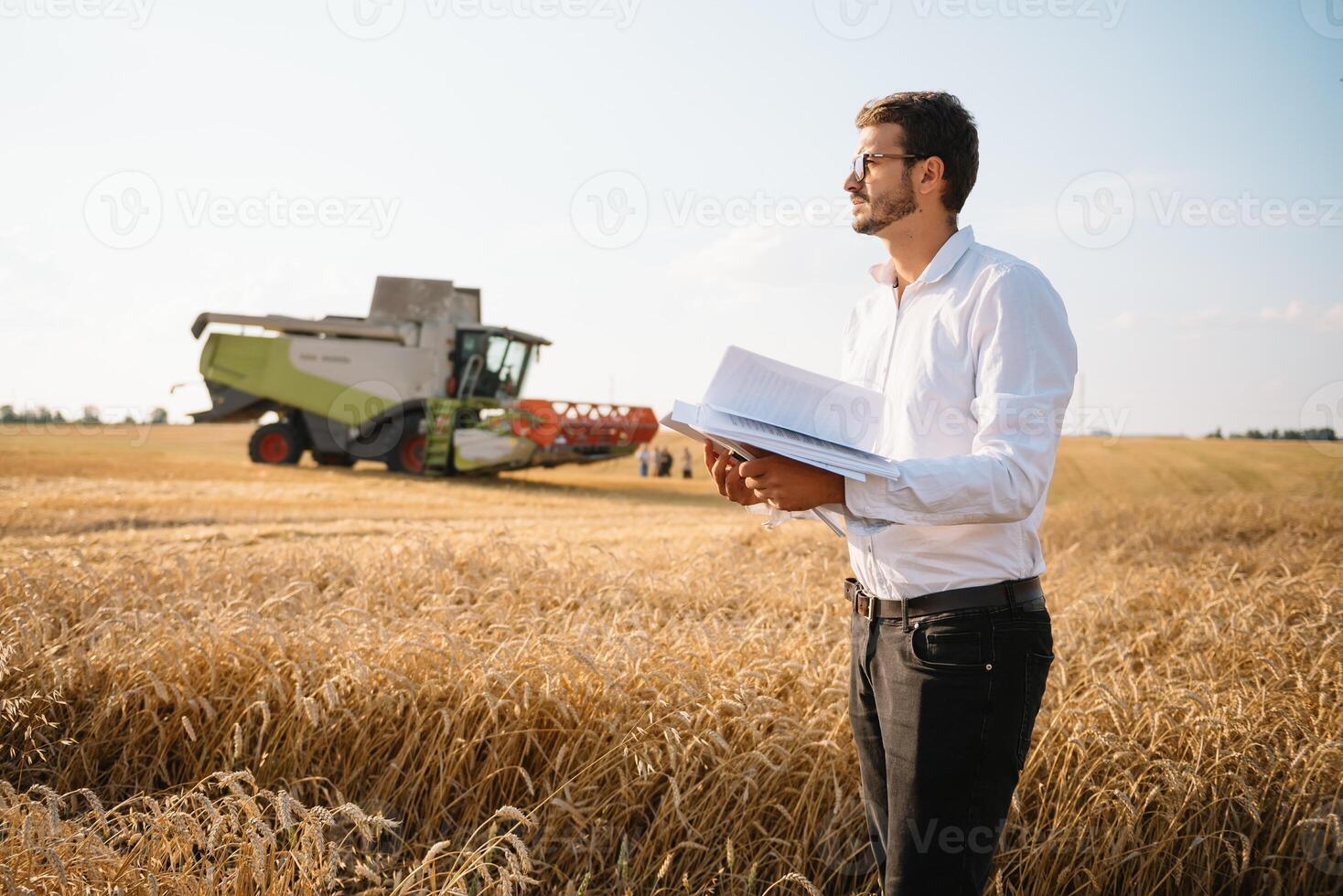 Happy farmer in the field checking corn plants during a sunny summer day, agriculture and food production concept. photo