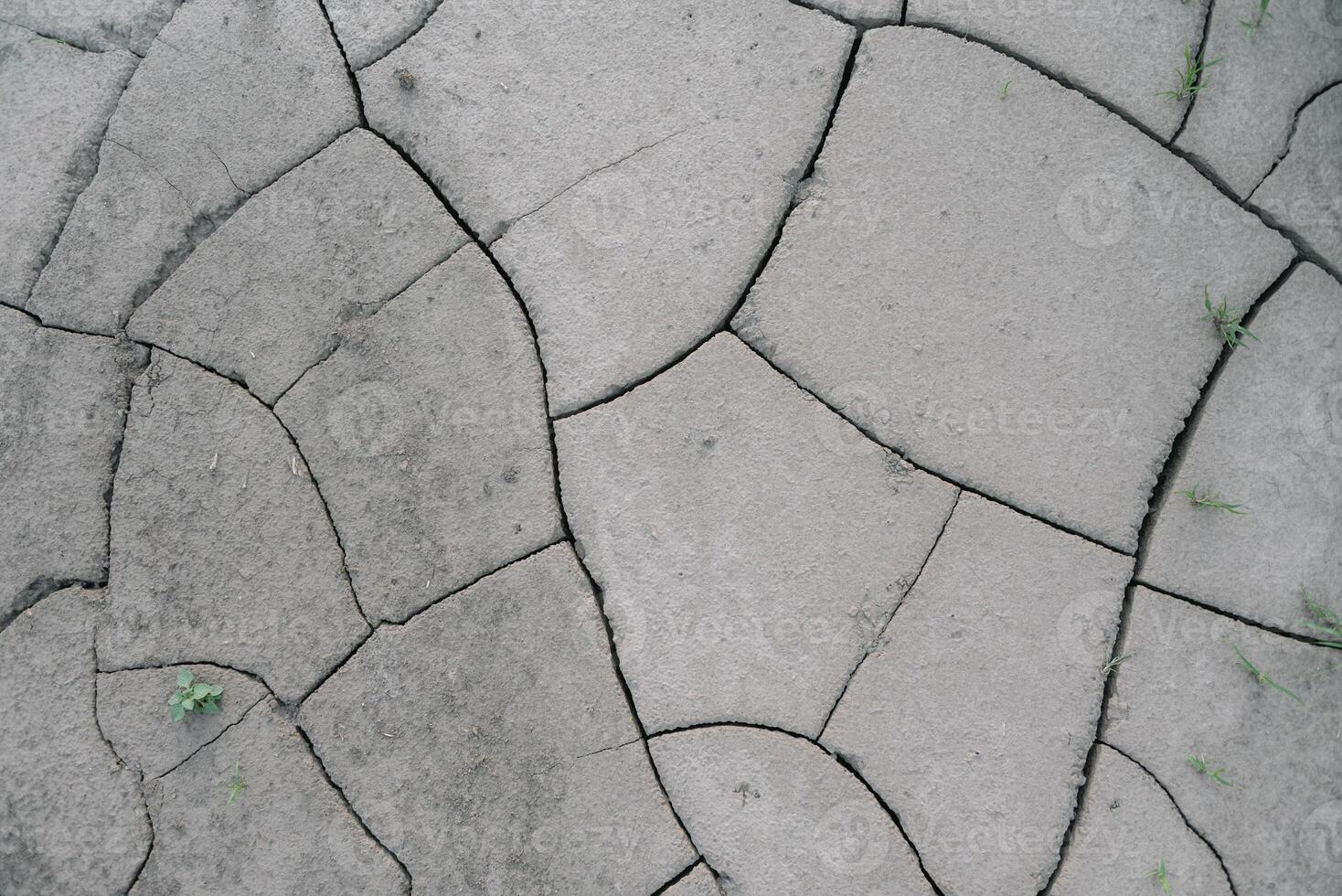 Grey cracked earth ground from drought disaster cause from weather change. The global warming and greenhouse effect cause of agricultural production is reduced photo