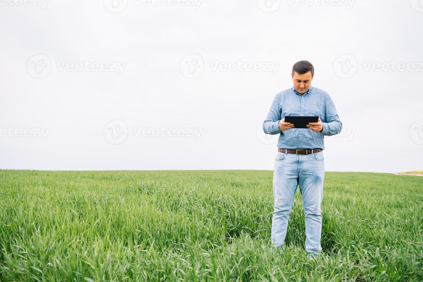 Young agronomist holds tablet touch pad computer in green wheat field. Agribusiness concept. agricultural engineer standing in a wheat field with a tablet in summer. photo