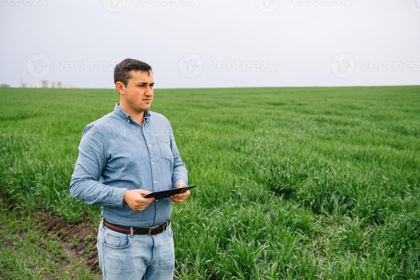 young handsome agronomist, agriculture engineer standing in green wheat field with tablet in hands in early summer. Agribusiness concept photo