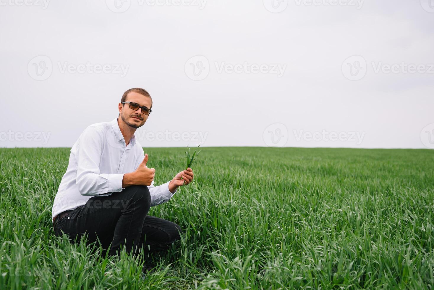 Agronomist with wheat in hands. Field of wheat on background. photo