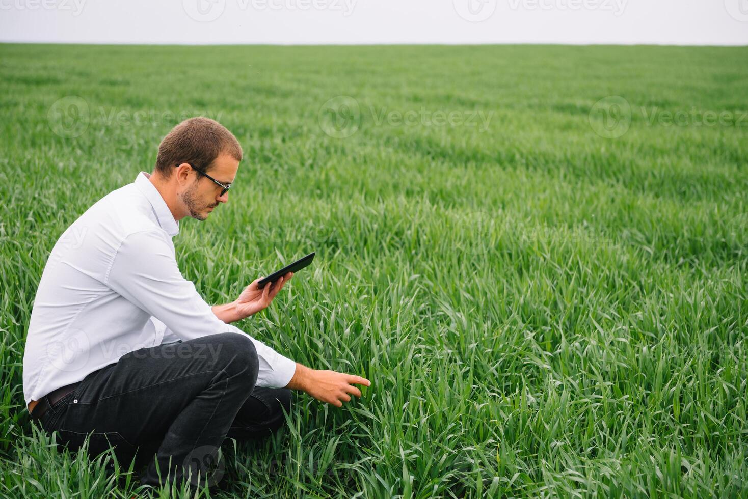 young handsome agronomist, agriculture engineer standing in green wheat field with tablet in hands in early summer. Agribusiness concept photo