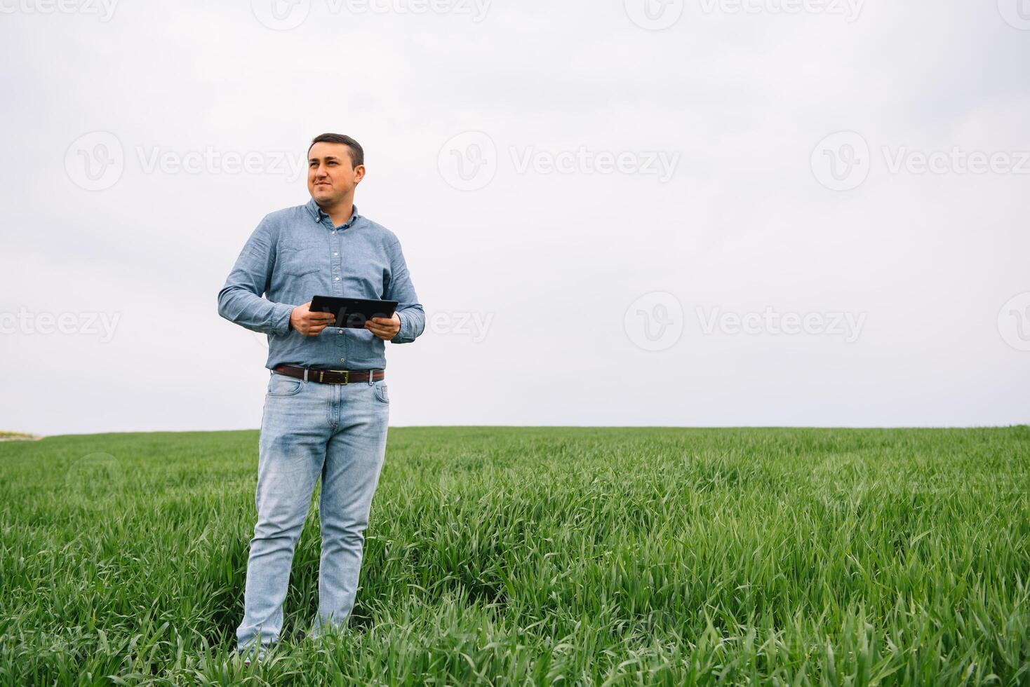 Young agronomist holds tablet touch pad computer in green wheat field. Agribusiness concept. agricultural engineer standing in a wheat field with a tablet in summer. photo