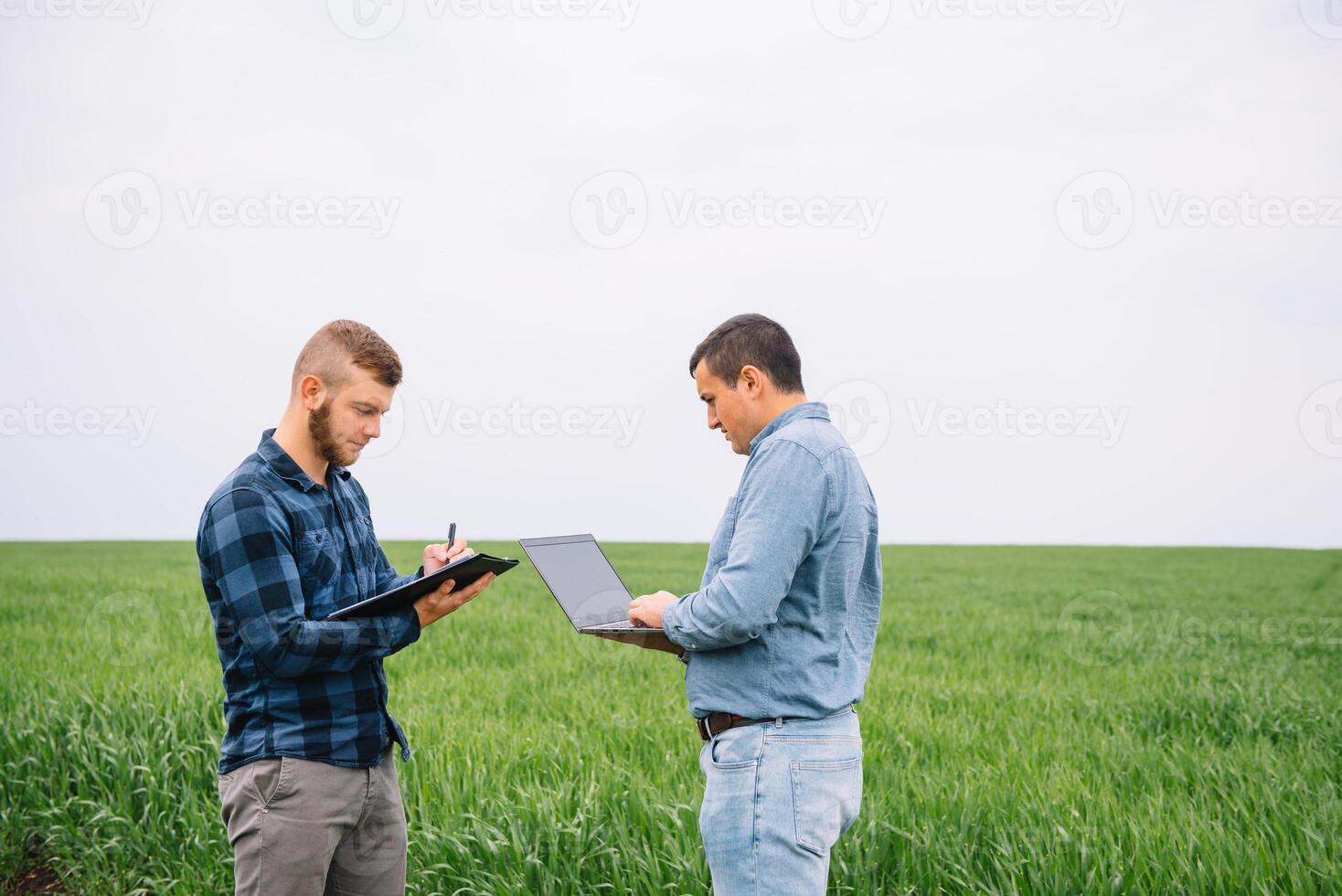 dos granjero en pie en un trigo campo y mirando a computadora portátil, ellos son examinando corp. joven hermoso agrónomo. agronegocios concepto. agrícola ingeniero en pie en un trigo campo. foto