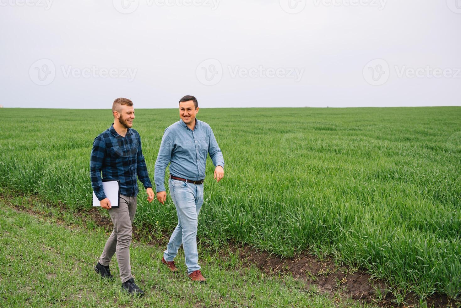 Two farmers in a field examining wheat crop. photo