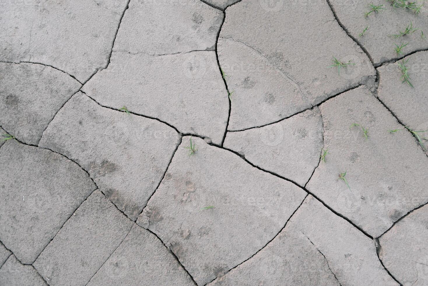 Grey cracked earth ground from drought disaster cause from weather change. The global warming and greenhouse effect cause of agricultural production is reduced photo