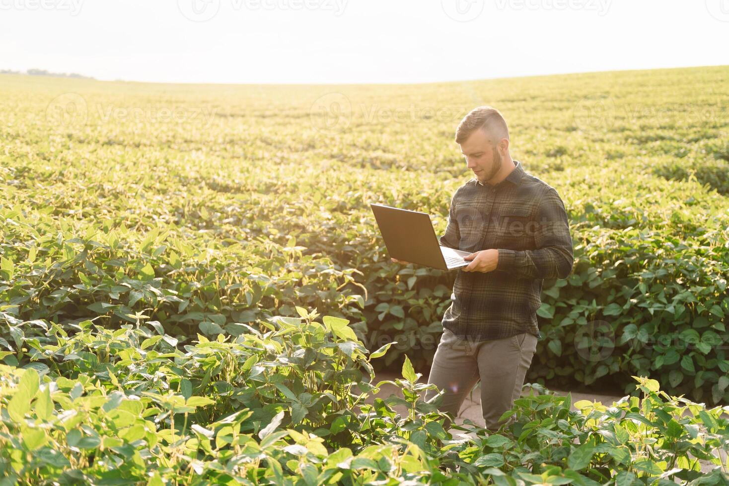 Young agronomist holds tablet touch pad computer in the soy field and examining crops before harvesting. Agribusiness concept. agricultural engineer standing in a soy field with a tablet in summer. photo