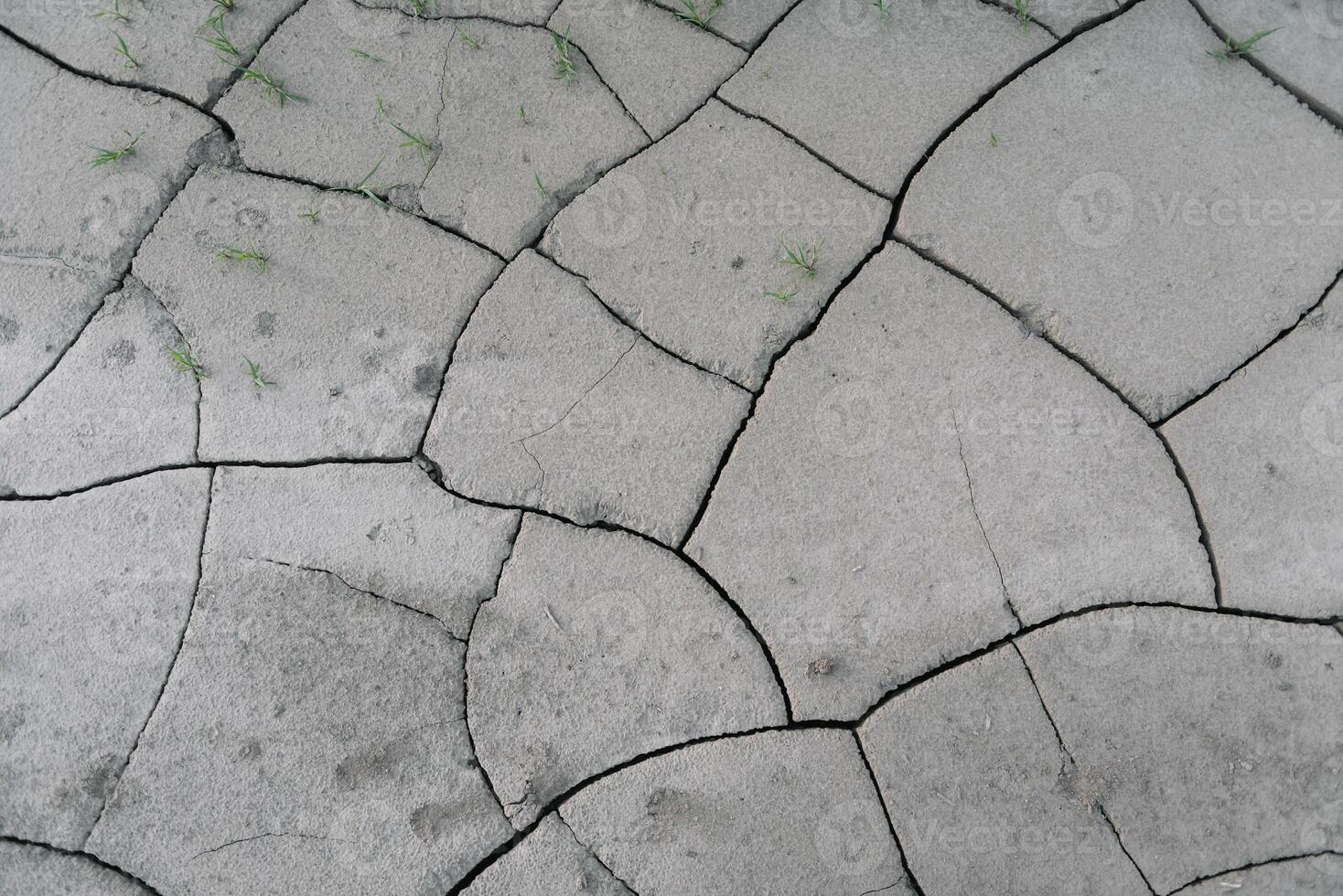 Grey cracked earth ground from drought disaster cause from weather change. The global warming and greenhouse effect cause of agricultural production is reduced photo