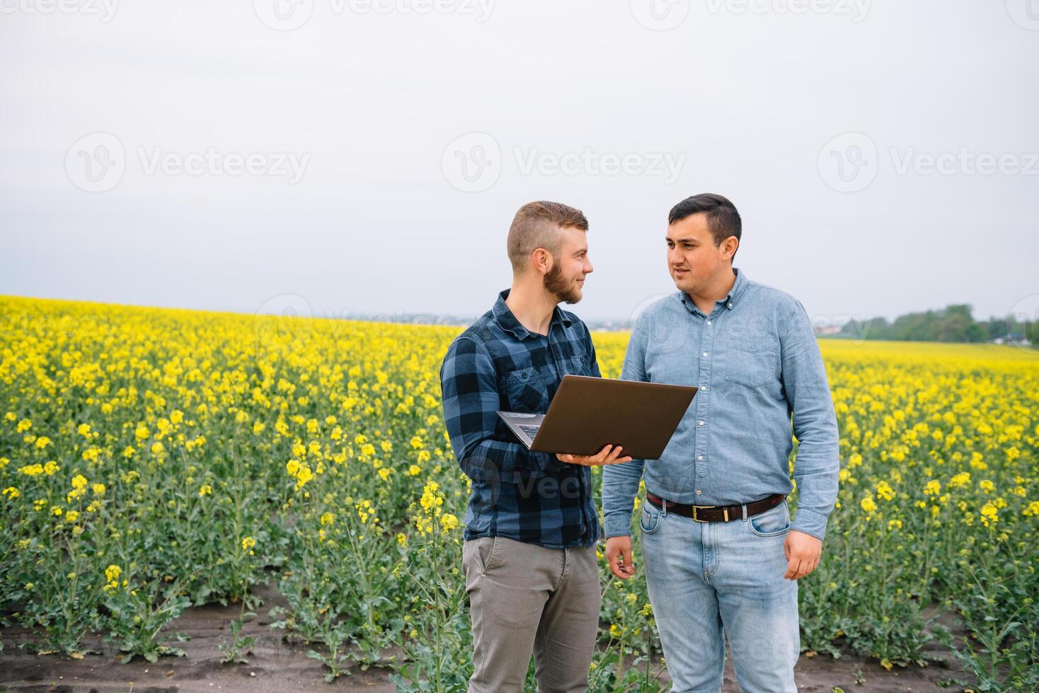 dos granjero en pie en un violación campo y mirando a computadora portátil, ellos son examinando corp. joven hermoso agrónomo. agronegocios concepto. agrícola ingeniero en pie en un violación campo. foto