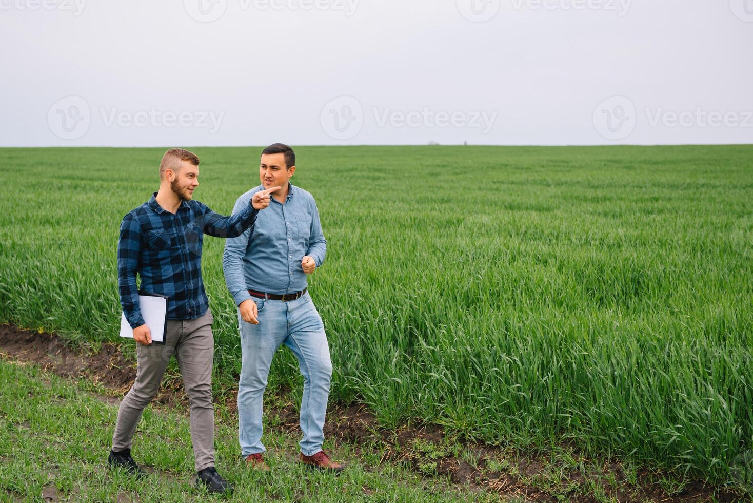 Two farmers in a field examining wheat crop. photo