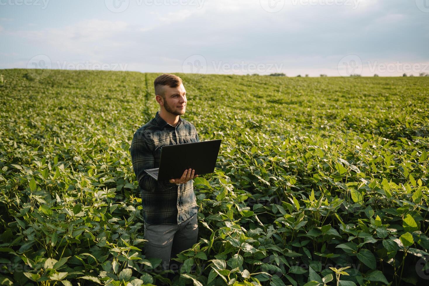 Young agronomist holds tablet touch pad computer in the soy field and examining crops before harvesting. Agribusiness concept. agricultural engineer standing in a soy field with a tablet in summer. photo
