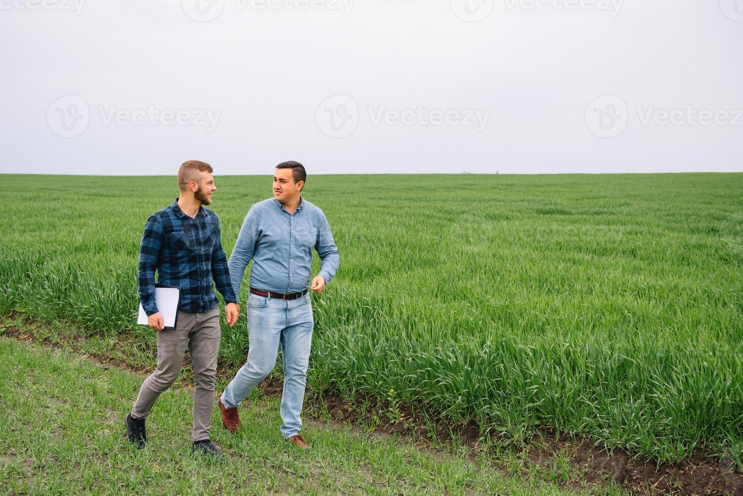 Two farmers in a field examining wheat crop. photo