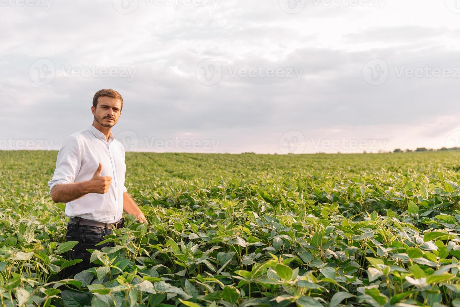retrato de joven granjero en pie en haba de soja campo. foto