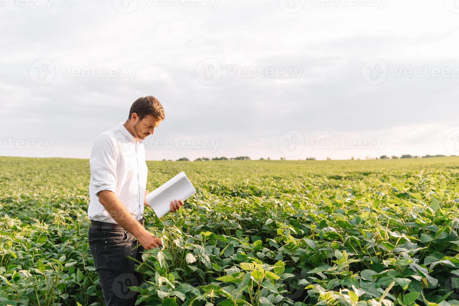 Portrait of young farmer standing in soybean field. photo