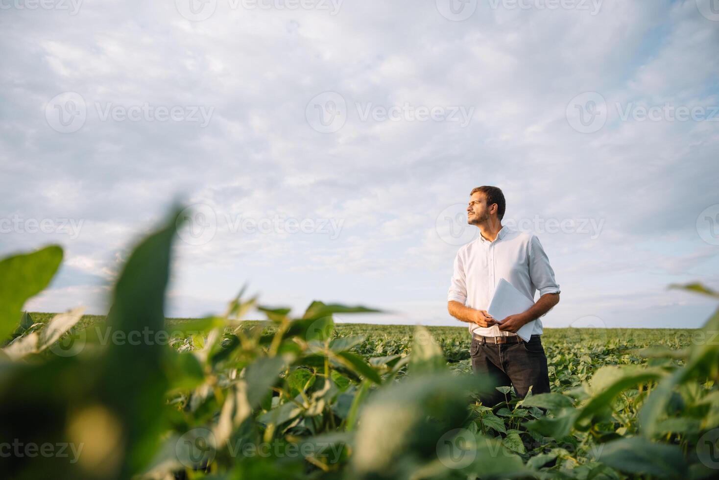 Portrait of young farmer standing in soybean field photo