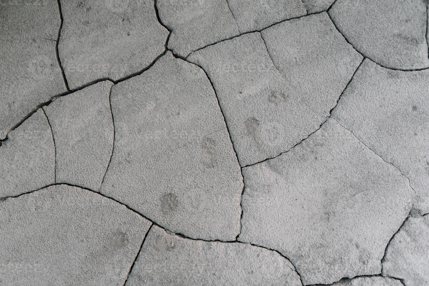 Grey cracked earth ground from drought disaster cause from weather change. The global warming and greenhouse effect cause of agricultural production is reduced photo