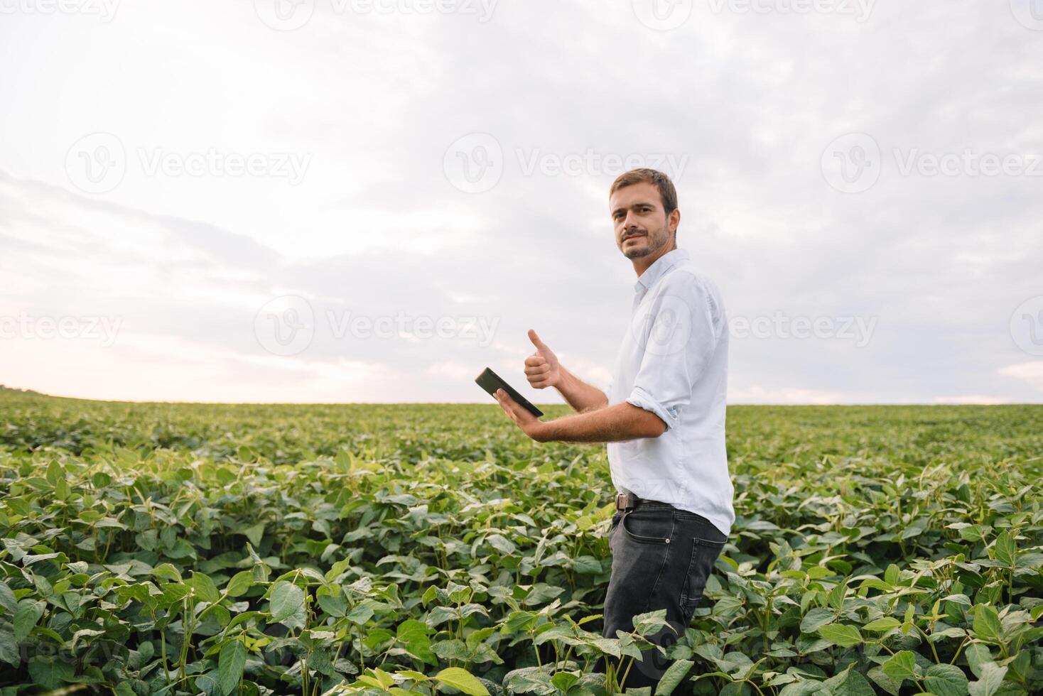 agrónomo inspeccionando soja frijol cultivos creciente en el granja campo. agricultura producción concepto. agronegocios concepto. agrícola ingeniero en pie en un soja campo foto