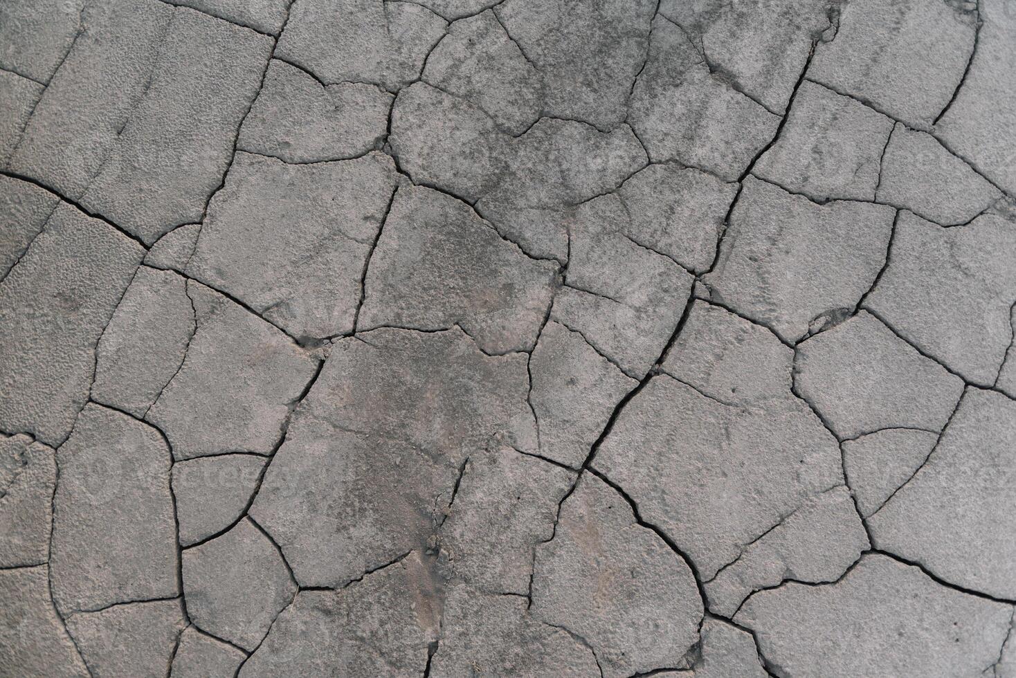 Grey cracked earth ground from drought disaster cause from weather change. The global warming and greenhouse effect cause of agricultural production is reduced photo
