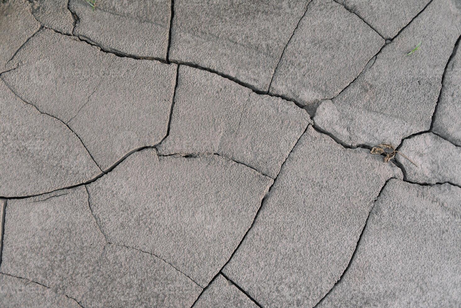 Grey cracked earth ground from drought disaster cause from weather change. The global warming and greenhouse effect cause of agricultural production is reduced photo